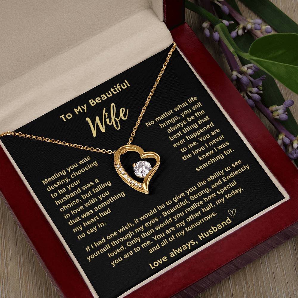 To My Beautiful Wife "Meeting You Was Destiny"  Forever Love Necklace
