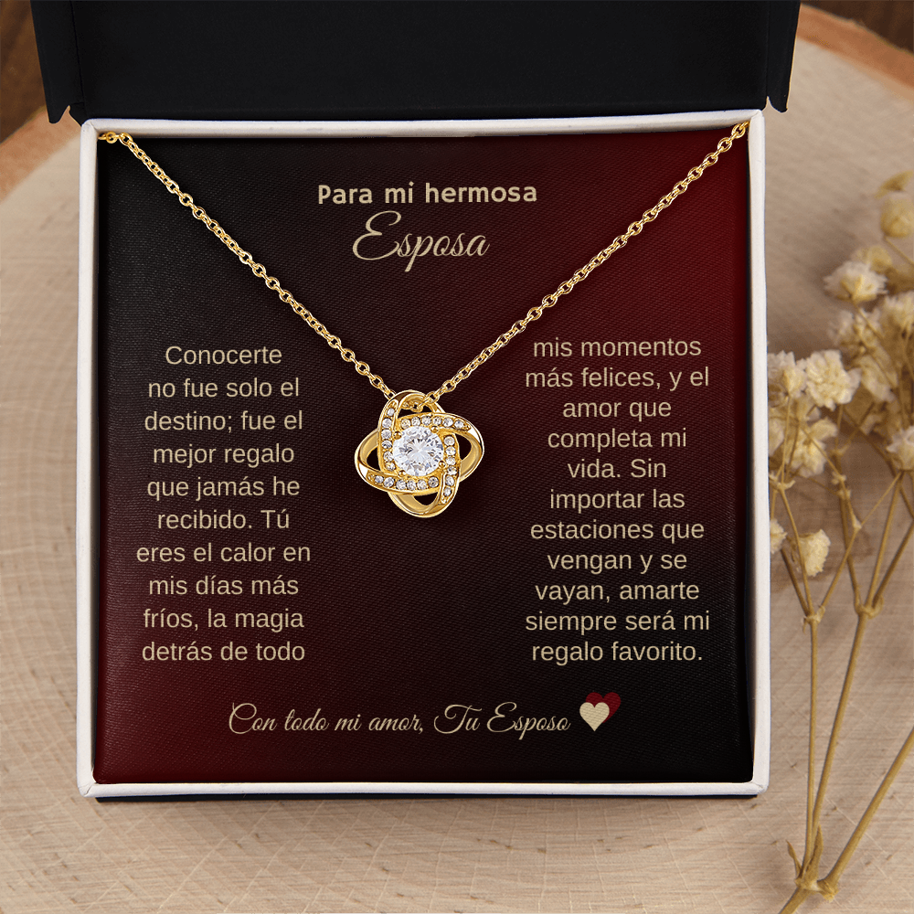 Para Mi Hermosa Esposa |Mi Amor Eterno Collar