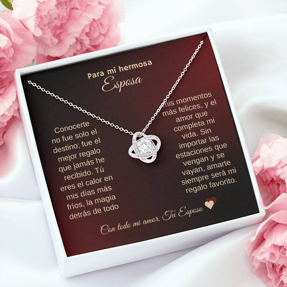 Para Mi Hermosa Esposa |Mi Amor Eterno Collar