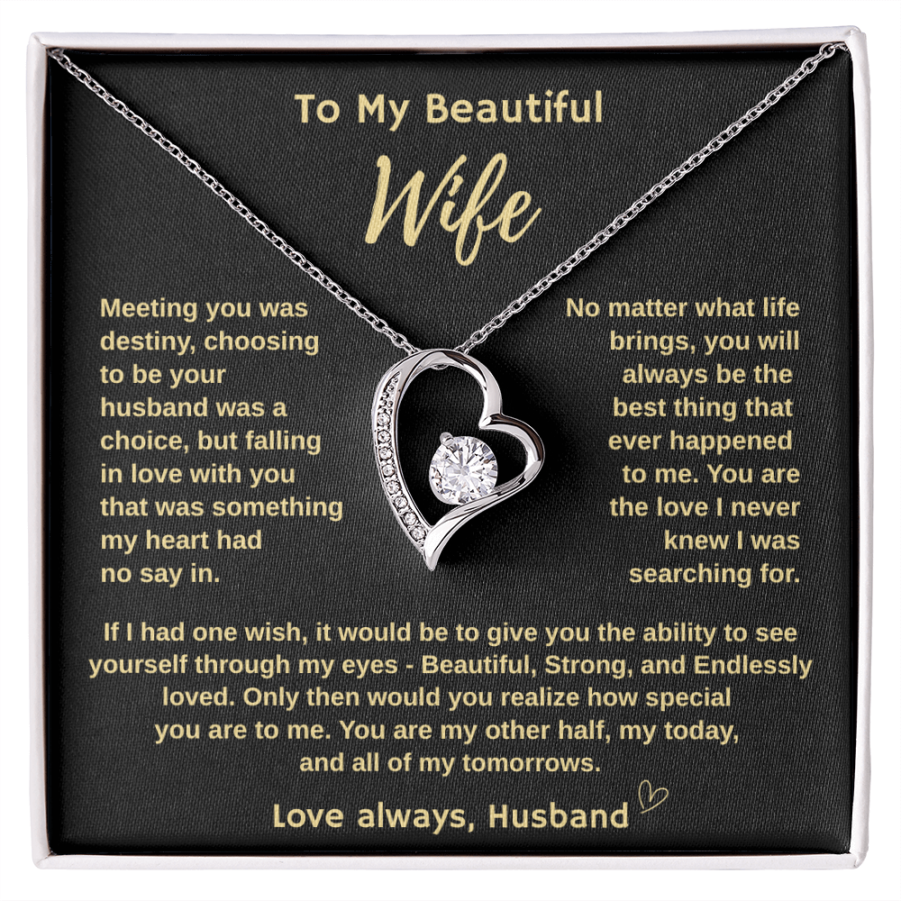 To My Beautiful Wife "Meeting You Was Destiny"  Forever Love Necklace