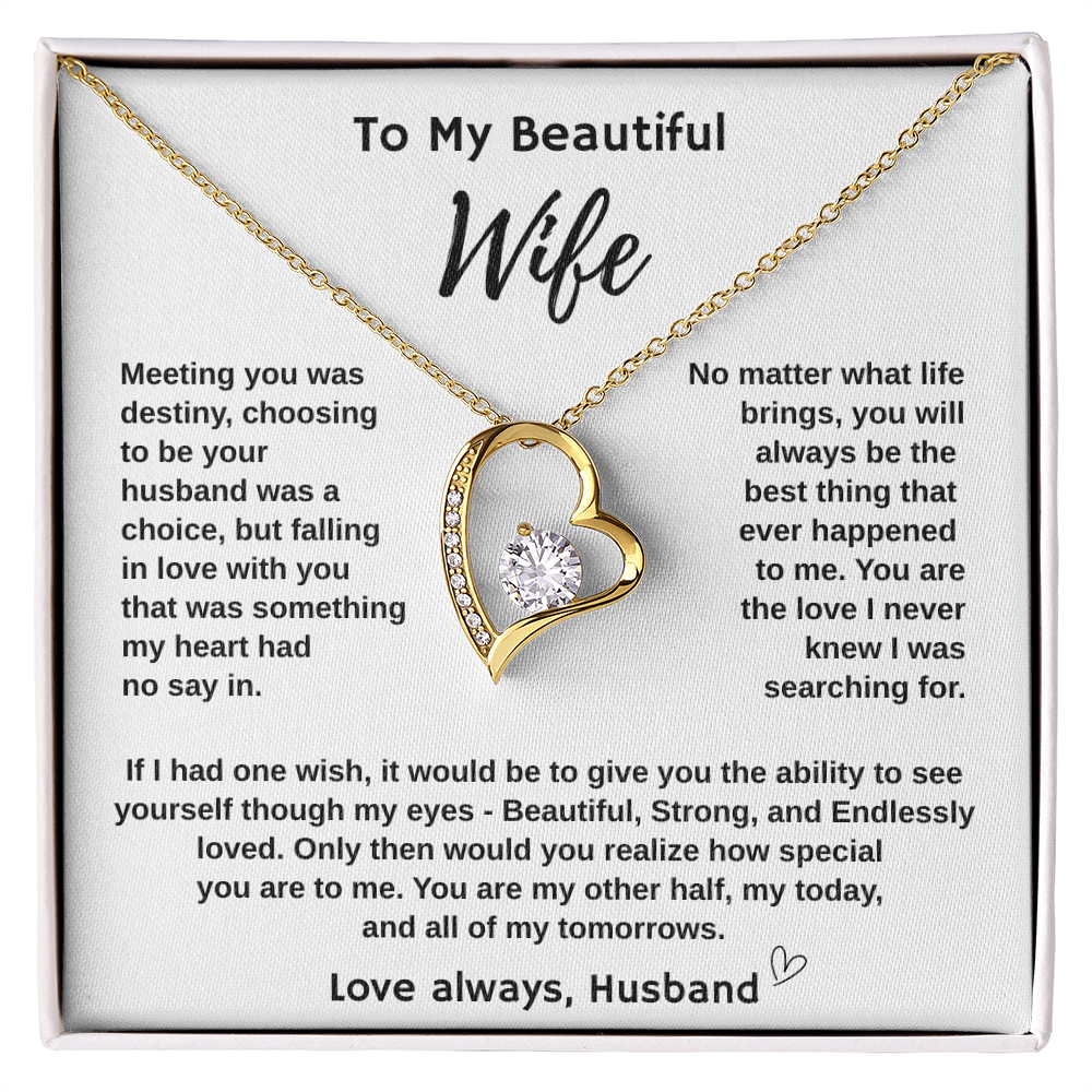 To My Wife "Meeting You Was Destiny" Forever Love Necklace.