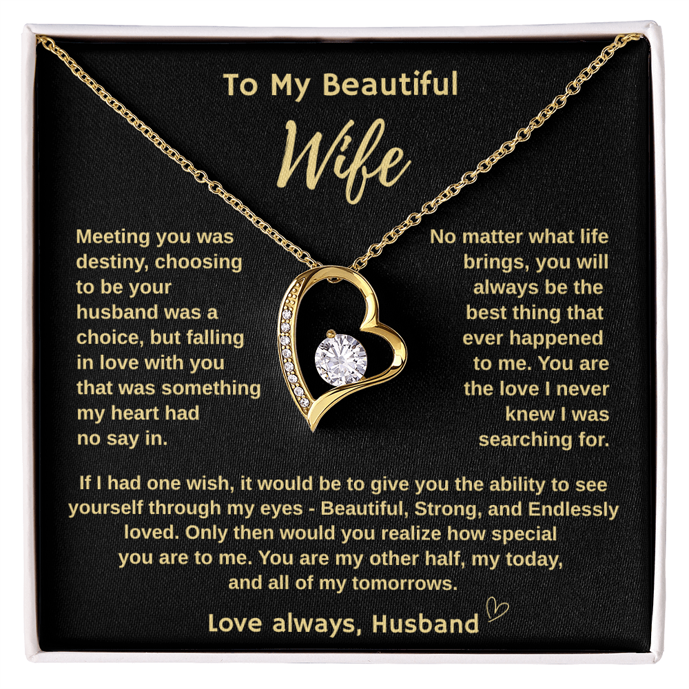 To My Beautiful Wife "Meeting You Was Destiny"  Forever Love Necklace