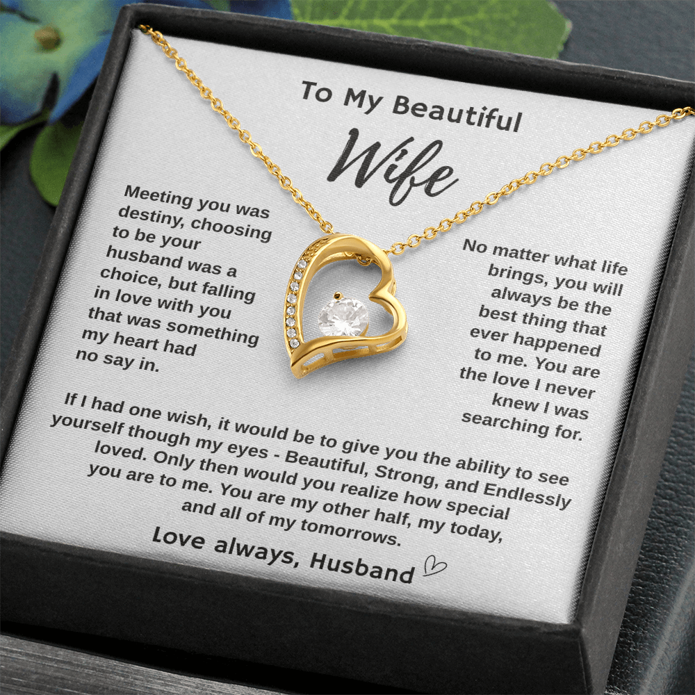 To My Wife "Meeting You Was Destiny" Forever Love Necklace.